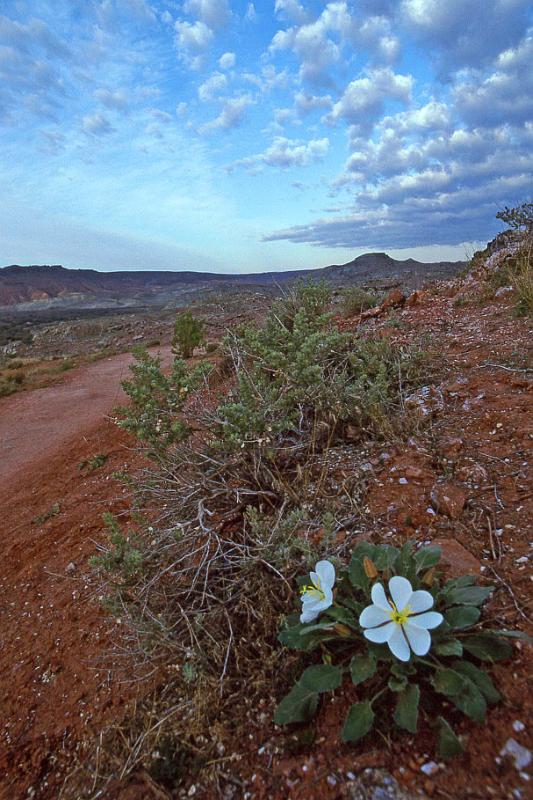 1996-04 Utah Trip 84 Delicate Arch Hike x.jpg